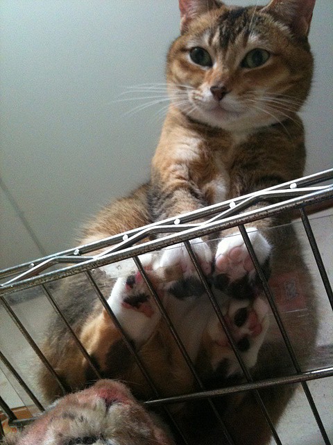 kako-ia8LAO3STYwhHKaK