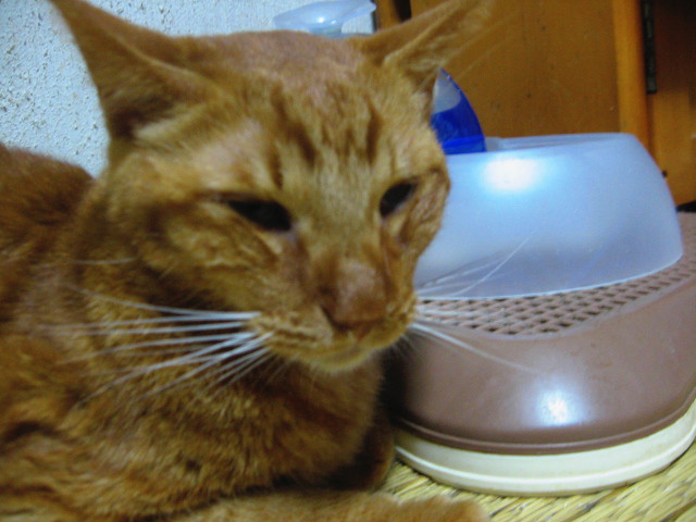 kako-cZ3bqdcS4EqBXClW