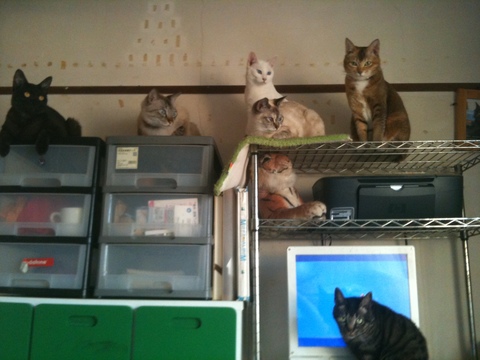 �������