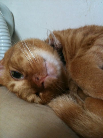 �Ϥ�����