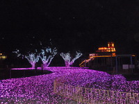 DSC00018