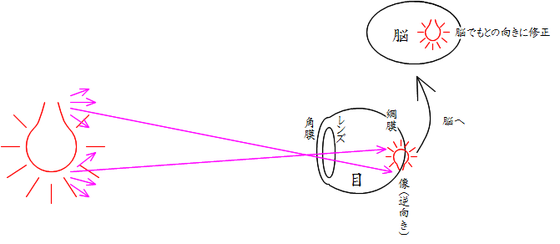 見えるということ