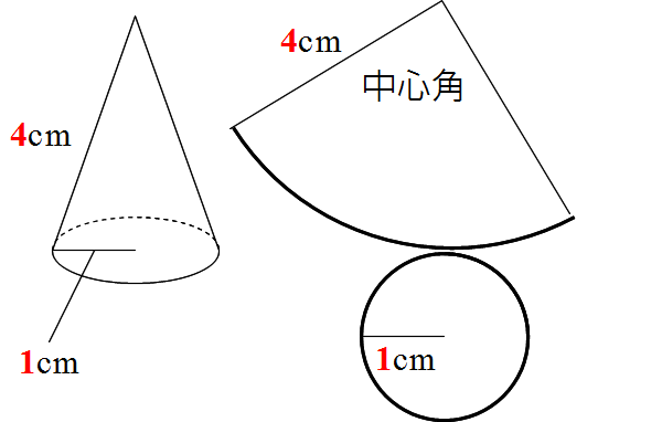 Math 円錐の展開図の中心角と母線 半径 中学生 働きアリ