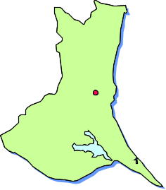 Social Studies 都県別地図と特徴 ５ 関東 群馬 栃木 茨城 千葉 神奈川 東京 埼玉 働きアリ