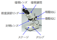 各部の名称