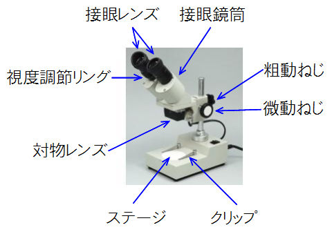 Science 双眼実体顕微鏡 特徴 各部の名称 使い方 働きアリ