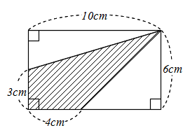 働きアリ 数学科