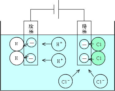 Science イオン 働きアリ Science イオン 働きアリ
