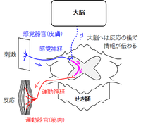 反射