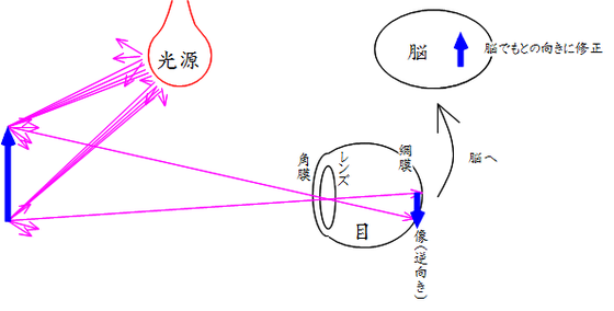 見えるということ-2