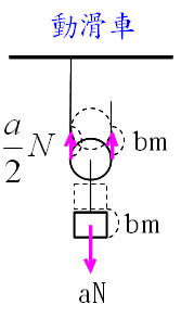 Science 運動 エネルギーの発展問題 ３ 仕事 仕事の原理 仕事率 仕事とエネルギー 働きアリ