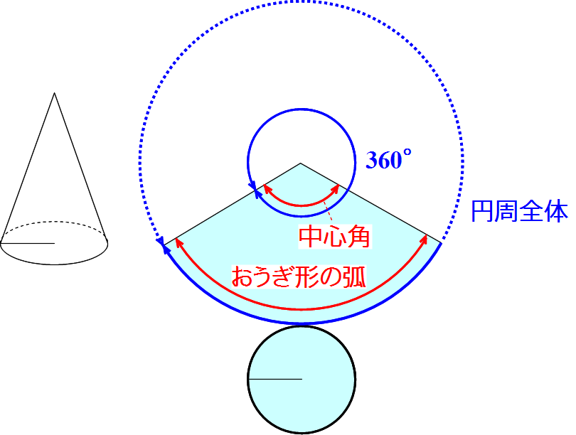 Math 円錐の展開図の中心角と母線 半径 中学生 働きアリ