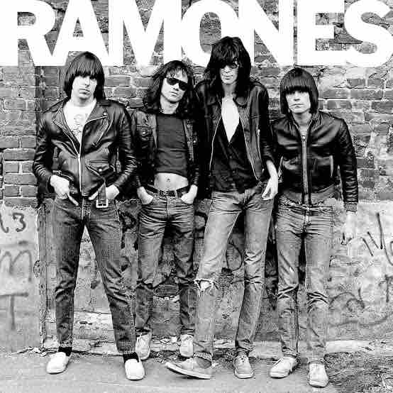 レア29×36 ストライプジーンズ punk パンク パンク天国 ramones