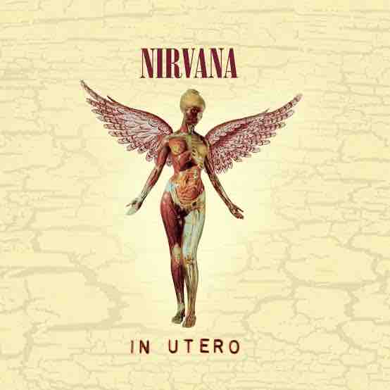 Nirvana「In Utero (1993)」を全曲紹介レビュー！ : ありの洋楽部屋