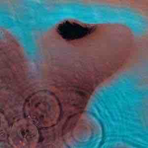 Pink Floyd「Meddle (1971)」を全曲紹介レビュー！ : ありの洋楽部屋