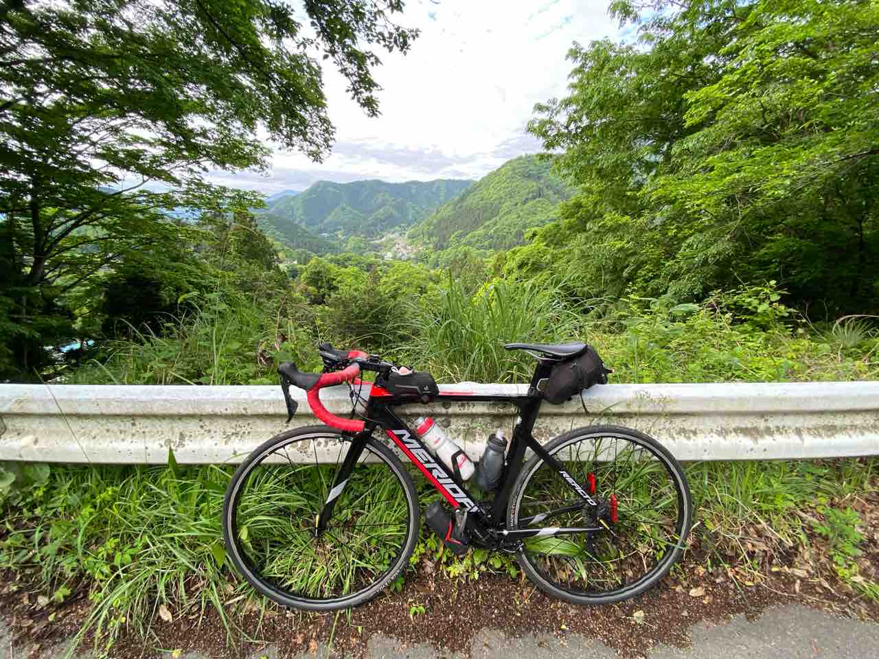 多摩川 南岸 道路 自転車