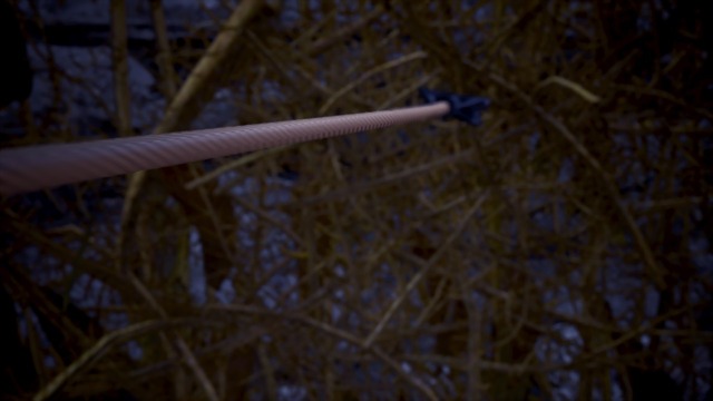 20190331085550_1