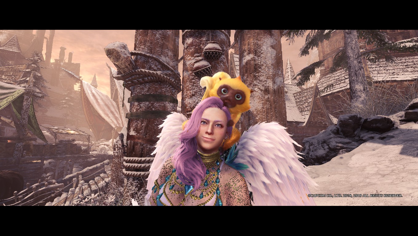 重ね着 キンセンザル 衣装 の作成に必要な素材 キンセンチケット チョベリグ 道中