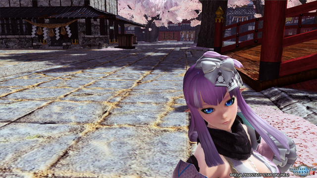 疑問 Pso2 のグラフィックはどのくらい進化するのか Pso2ngs Pso2 Raied13