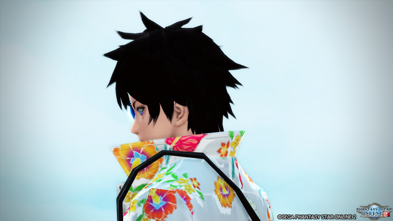 17年07月28日 Pso2 Raied13