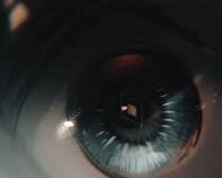 1780401339400