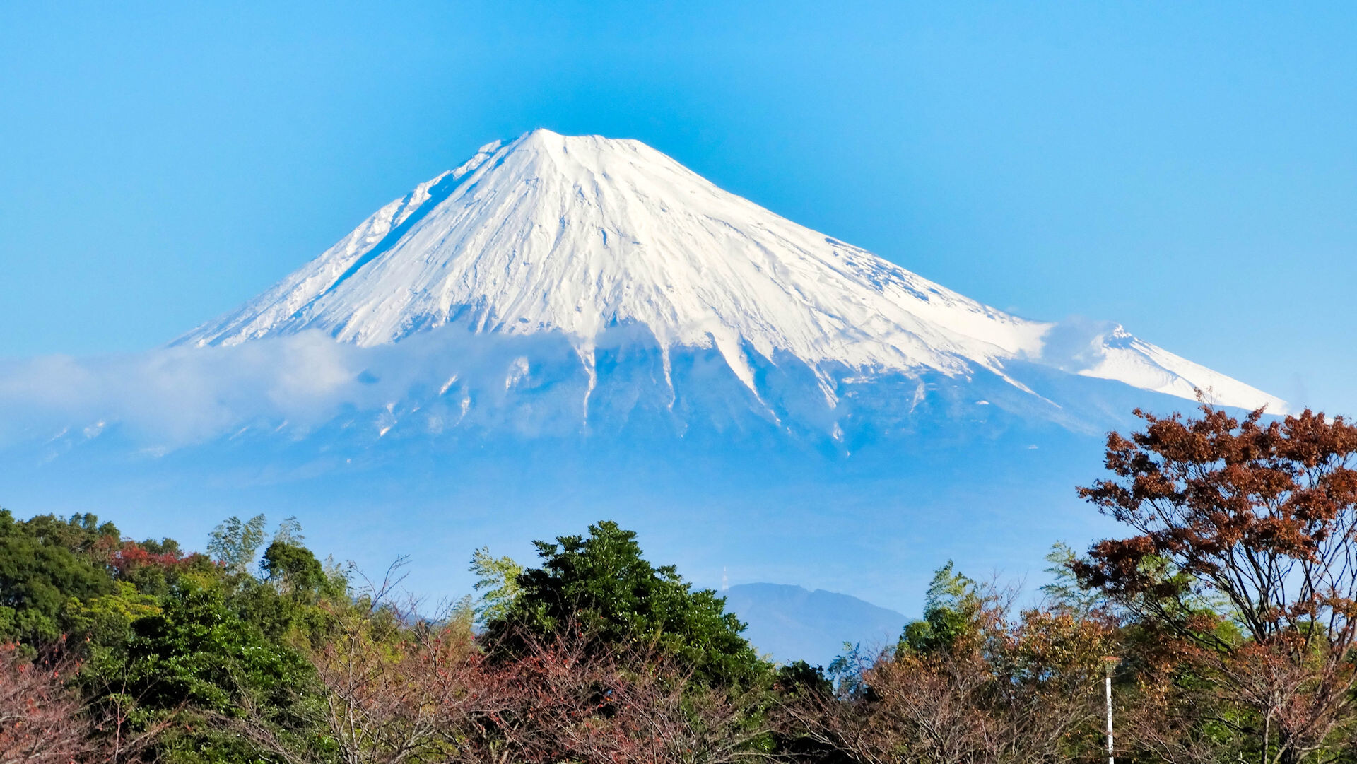 写真 雲一つない絶景 富士山 13天皇杯 清水 仙台戦の途で ギャラリー ベガサポ 写真 雲一つない絶景 富士山 13天皇杯 清水 仙台戦の途で ギャラリー ベガサポ