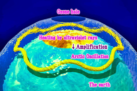 Amplification of Arctic Oscillation by the ozone hole