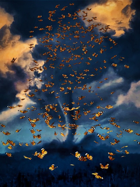 Climate change Insects wing flapping causes storms