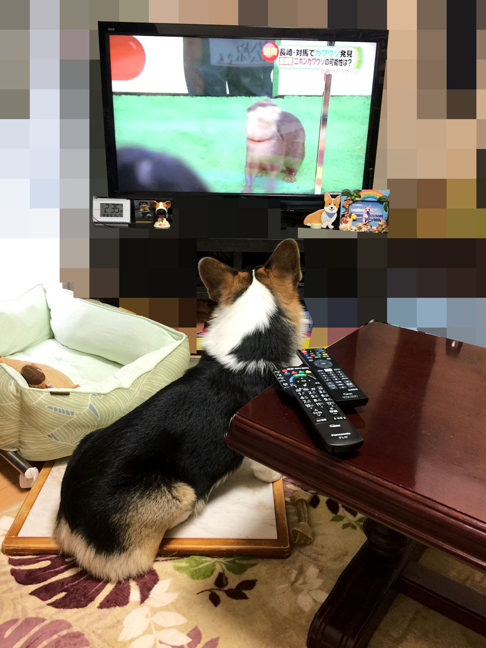 イメージ 1
