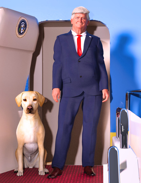 Take off! His Air Force One