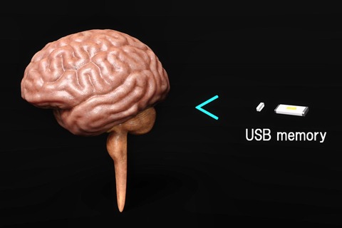 The human brain's storage capacity is smaller than a USB memory