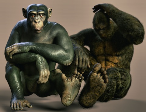 Ape-man's feet were not suitable for climbing trees