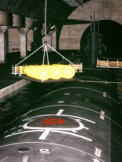 The Great East Japan Earthquake