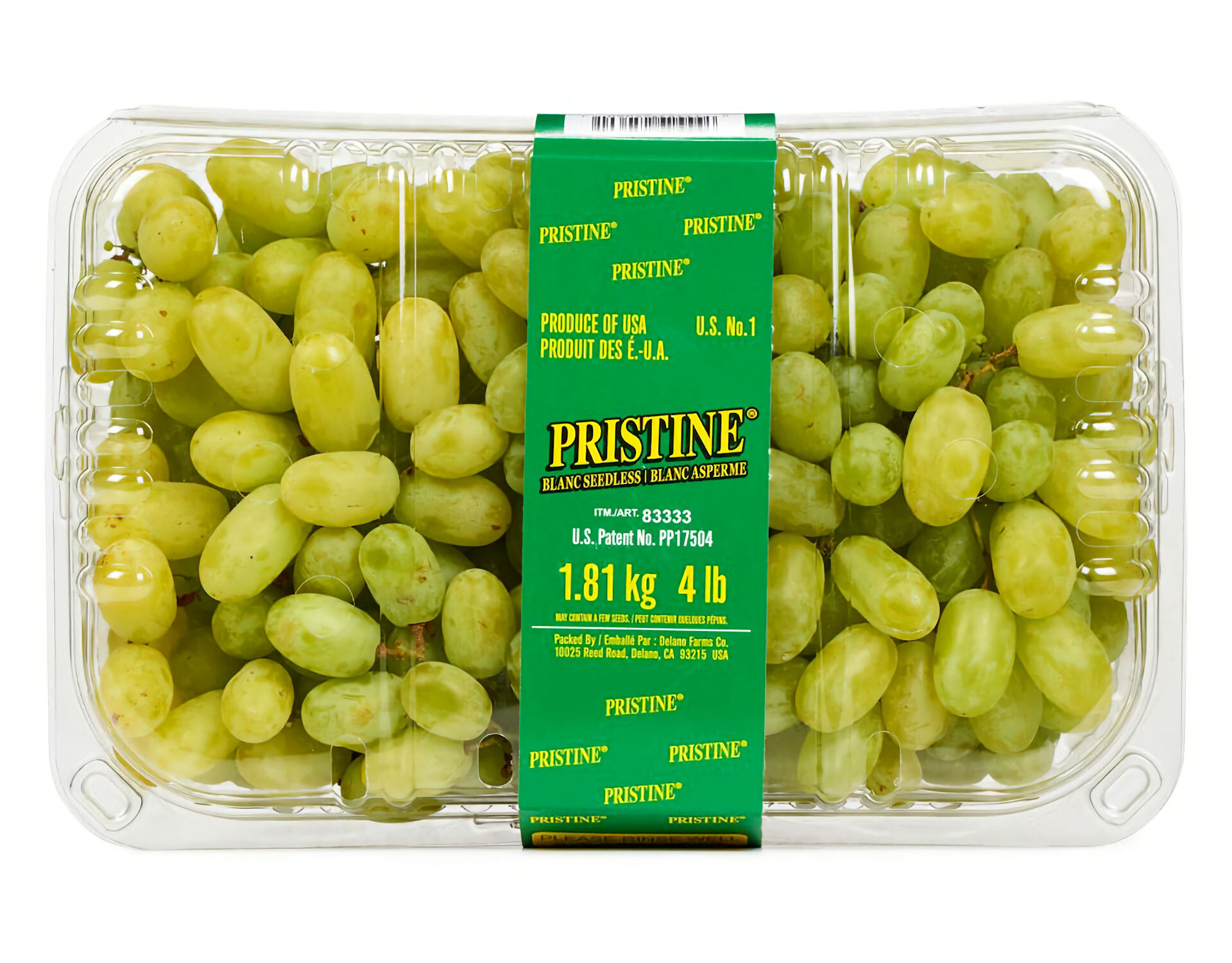 Pilot Grape ๏ผ้ฃไธญๆฏ๏ผ๏ผๅผทใ็ฎ็ฉใจๅใๆฐใฎ็็ถ ๏ฝๅๅ ใฏไธๆใ ใใใฎใใใฆใ้ฃในใๅพใ ใฃใ๏ฝ : Ark Pilot