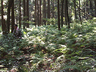 2004_0808_120045AA