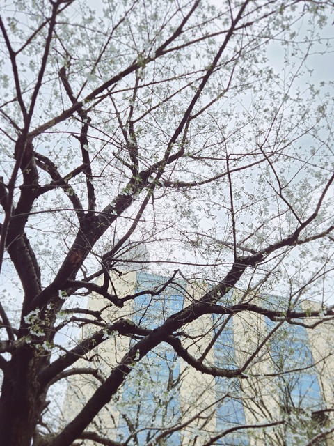 26-03-23-16-26-17-273_deco