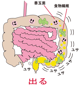 が 方法 うんこ でる