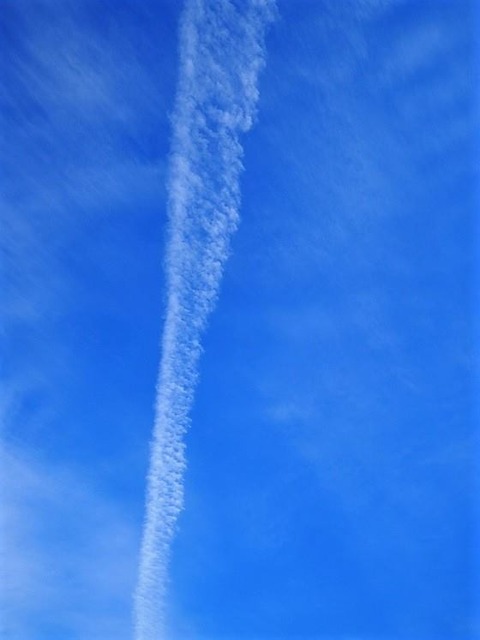 28576695_1650212741694545_1262445845032962242_n