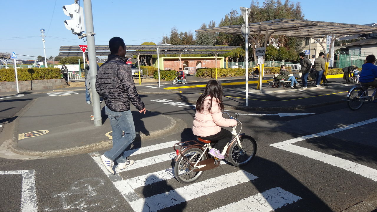 交通 公園 ユーカリ