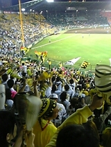 koshien_003