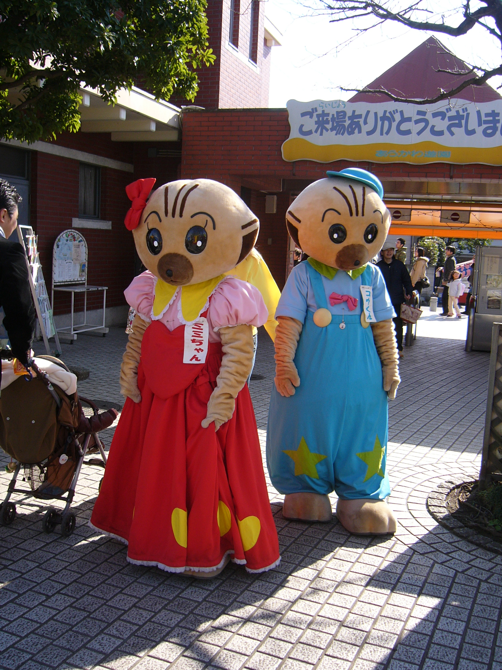 遊園地 サイプレスの森