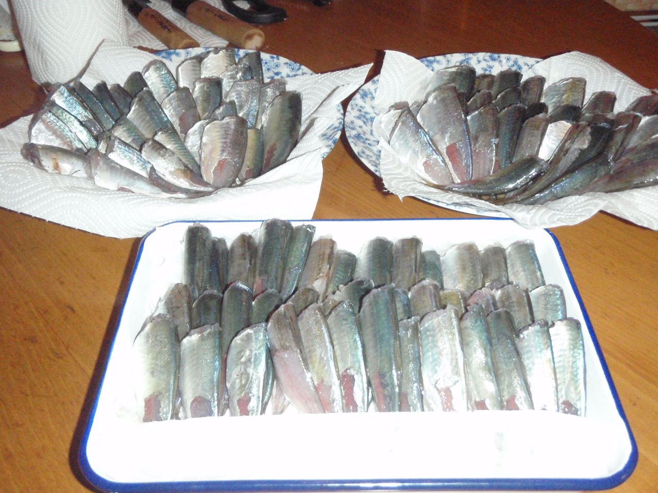 ヒラアジ と マルアジ アロタン アロマテラピーの語源のお話