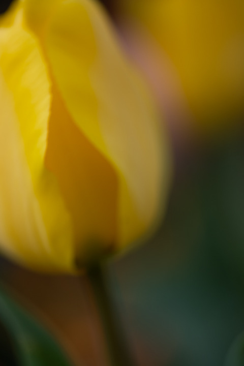 DSCF2724