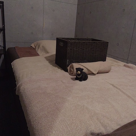 S__11984902
