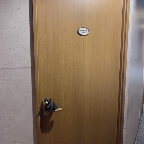 S__11984904