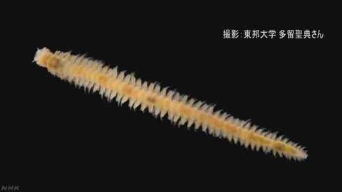 5005