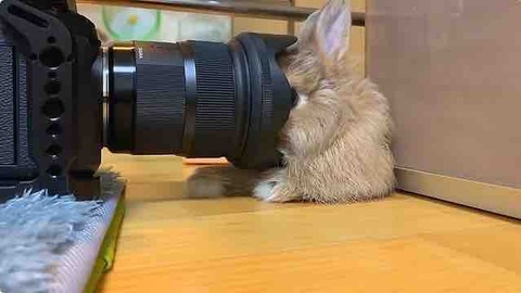 5005