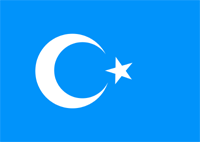 east_turkistan_flag_pdf