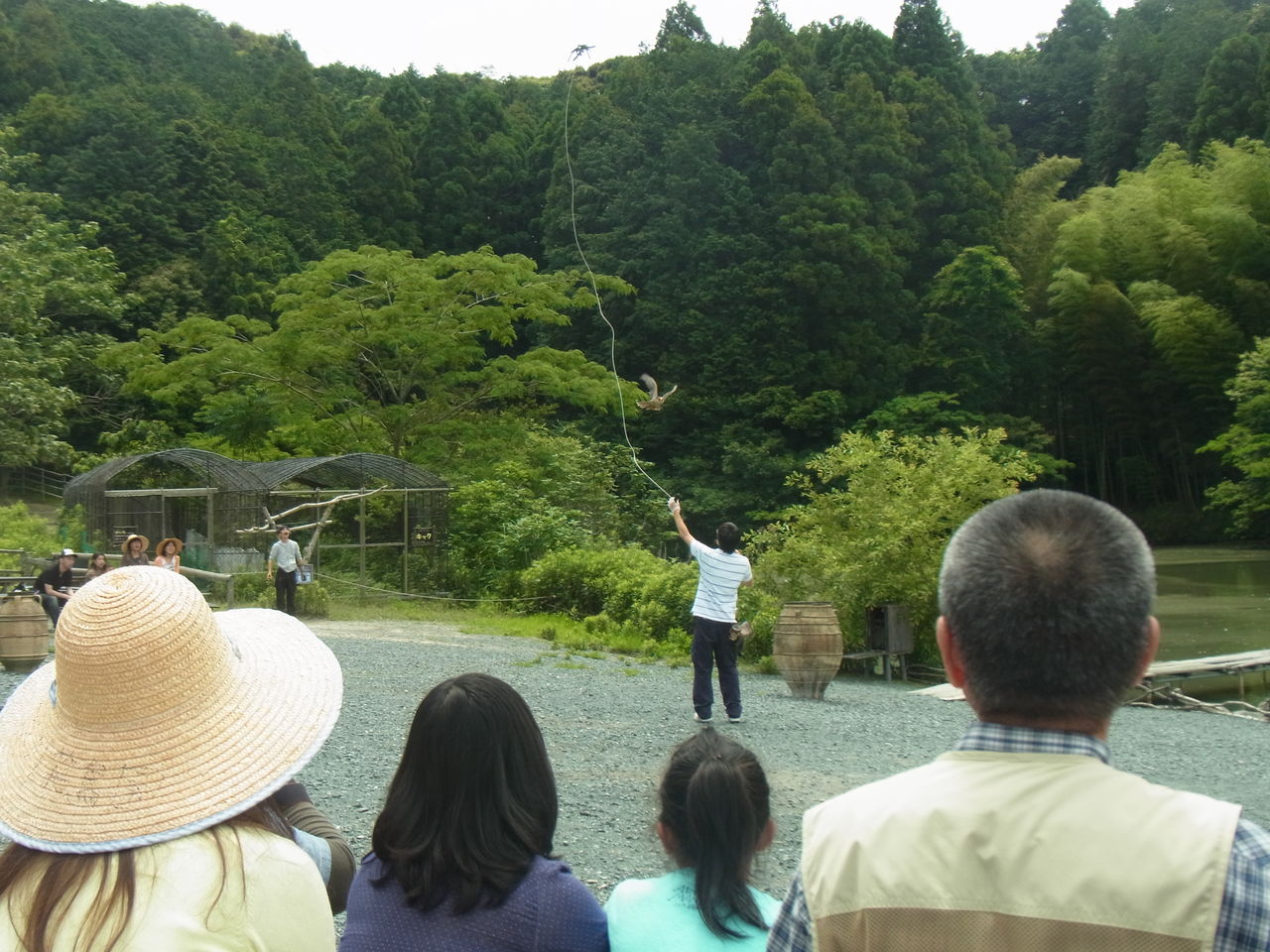 静岡 5 掛川花鳥園でフクロウの手乗り タビソダチ 365日子連れで世界をぶらり 静岡 5 掛川花鳥園でフクロウの手乗り タビソダチ 365日子連れで世界をぶらり
