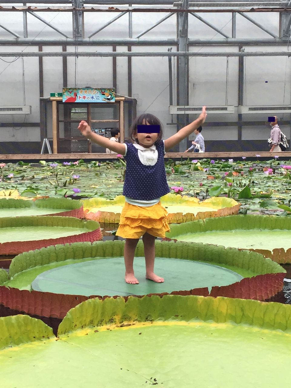 静岡 5 掛川花鳥園でフクロウの手乗り タビソダチ 365日子連れで世界をぶらり 静岡 5 掛川花鳥園でフクロウの手乗り タビソダチ 365日子連れで世界をぶらり